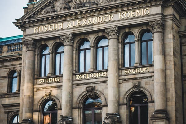 Das Alexander König Museum in Bonn